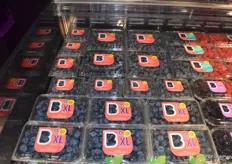 Blueberries packaging with standard size blueberries and bigger blueberries under XL
